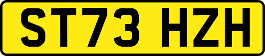 ST73HZH