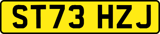 ST73HZJ