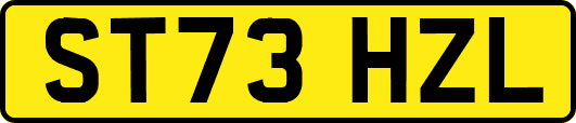 ST73HZL