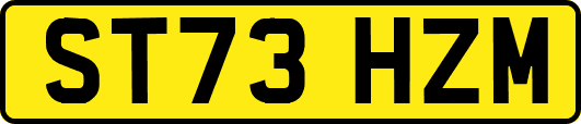 ST73HZM