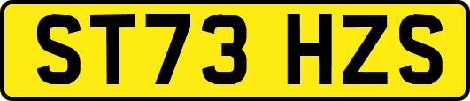 ST73HZS