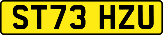 ST73HZU