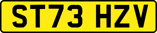 ST73HZV