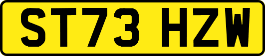 ST73HZW