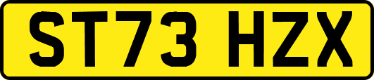 ST73HZX