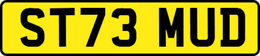 ST73MUD