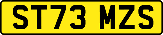 ST73MZS