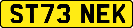 ST73NEK