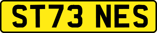 ST73NES