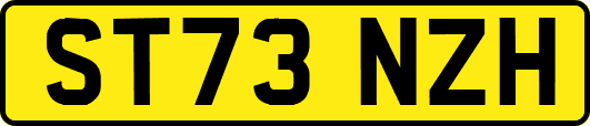 ST73NZH
