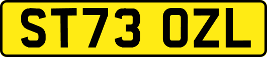 ST73OZL