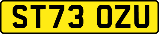 ST73OZU