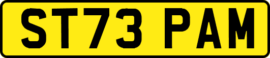 ST73PAM
