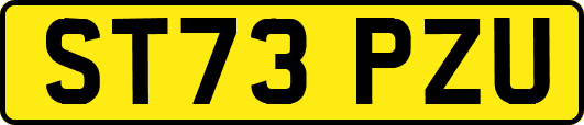 ST73PZU