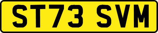 ST73SVM