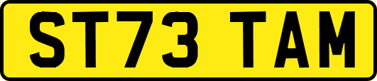 ST73TAM
