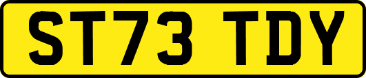 ST73TDY