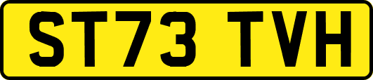 ST73TVH