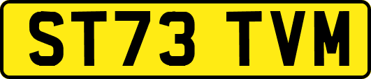 ST73TVM