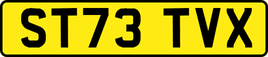 ST73TVX