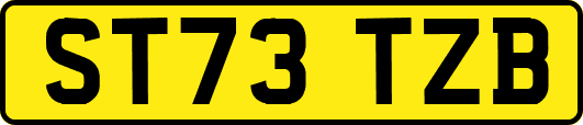 ST73TZB