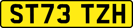 ST73TZH