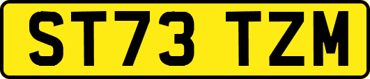 ST73TZM