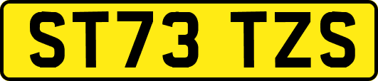 ST73TZS