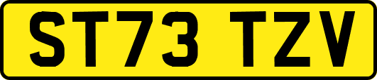 ST73TZV