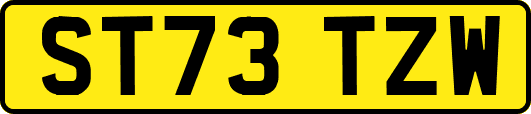 ST73TZW