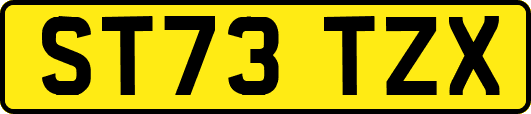 ST73TZX