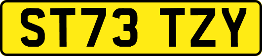 ST73TZY