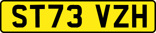 ST73VZH