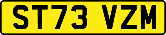 ST73VZM
