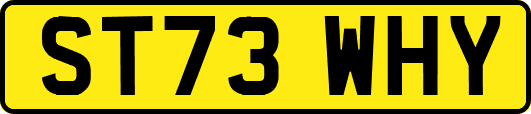 ST73WHY