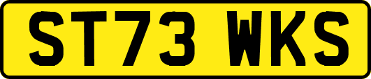 ST73WKS