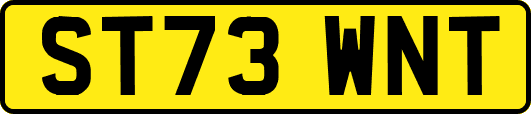ST73WNT