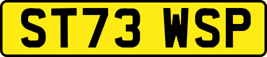 ST73WSP