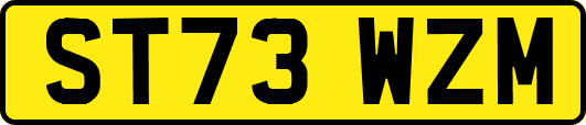 ST73WZM