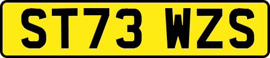 ST73WZS