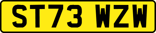 ST73WZW