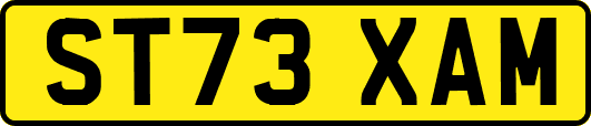 ST73XAM