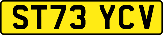ST73YCV