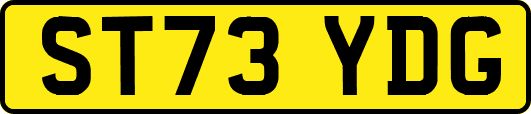 ST73YDG
