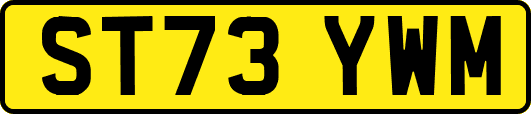 ST73YWM