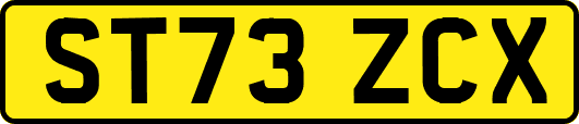 ST73ZCX