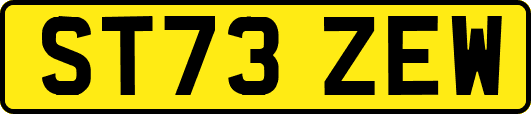 ST73ZEW