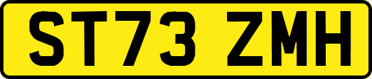 ST73ZMH