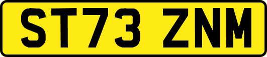 ST73ZNM