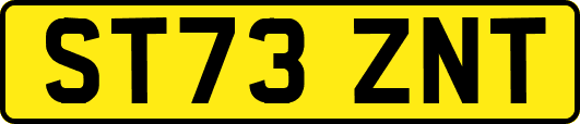 ST73ZNT